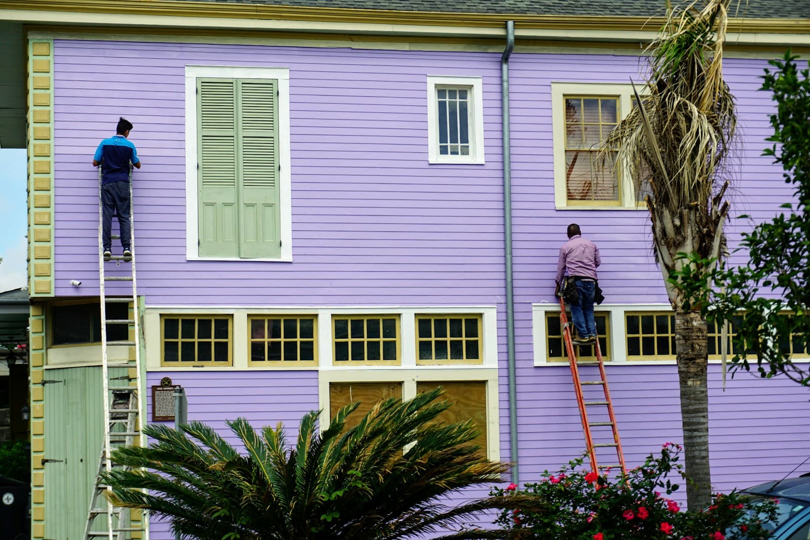 Painters